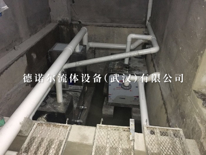 水果湖办事处污水处理项目
